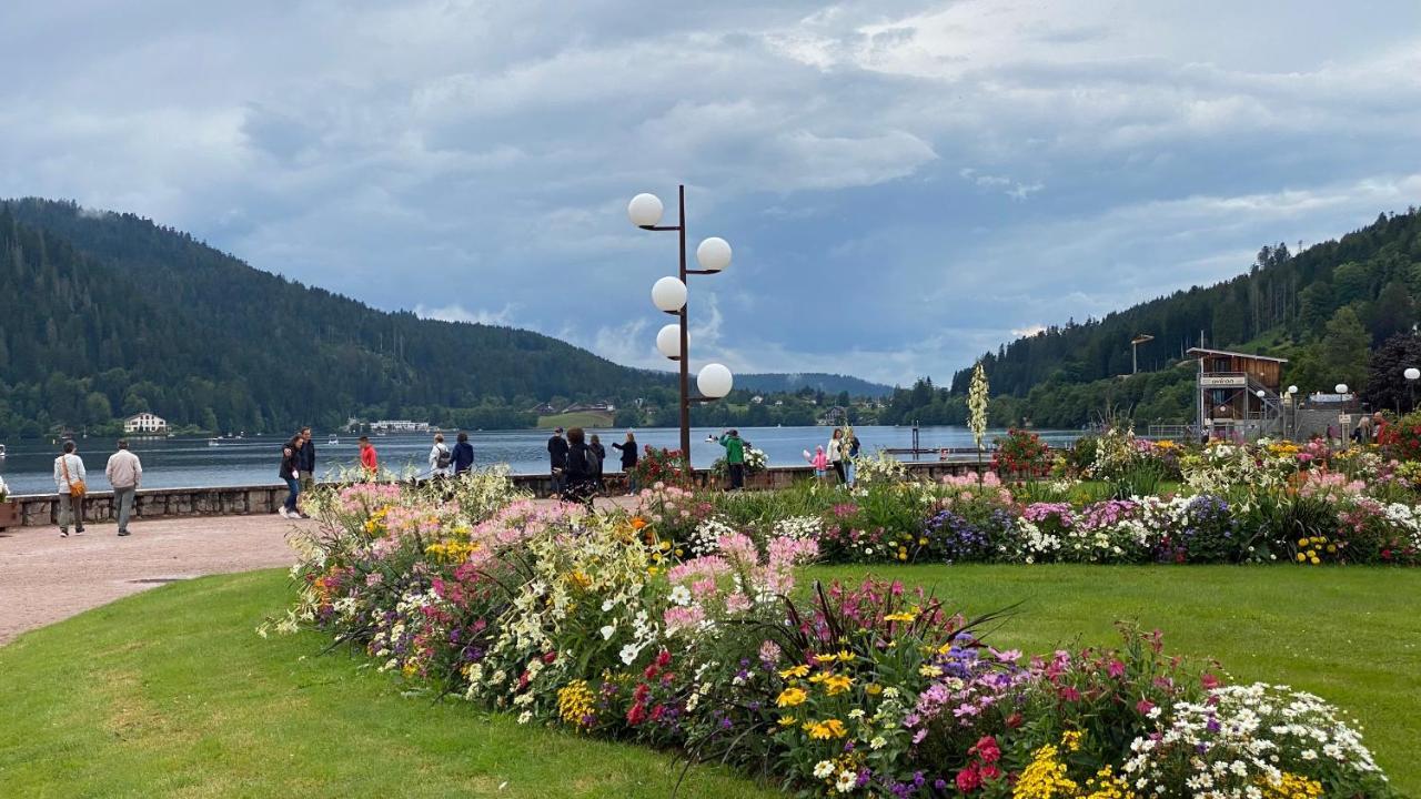 Cote Lac Gerardmer Bagian luar foto