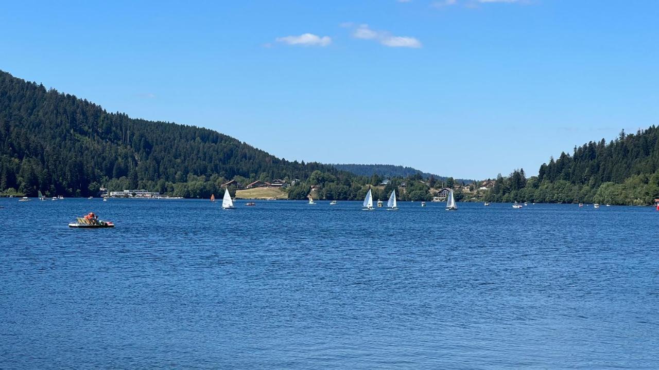 Cote Lac Gerardmer Bagian luar foto